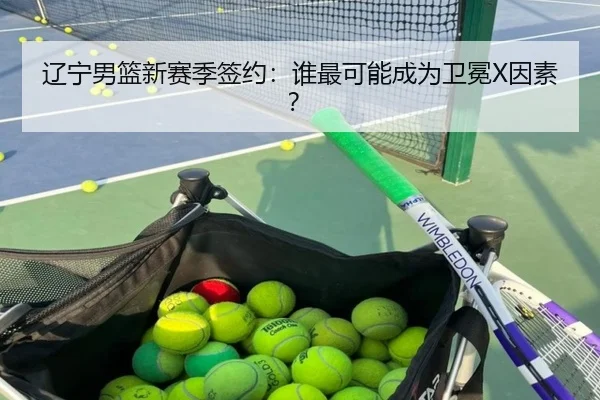辽宁男篮新赛季签约：谁最可能成为卫冕X因素？